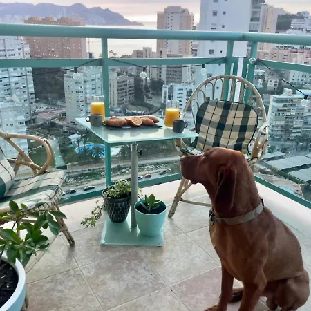 Apartment Traveler's With Sea View, Free Coffee & Parking