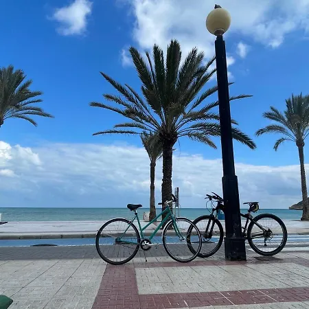 Daire Traveler's With Sea View, Free Coffee & Parking *